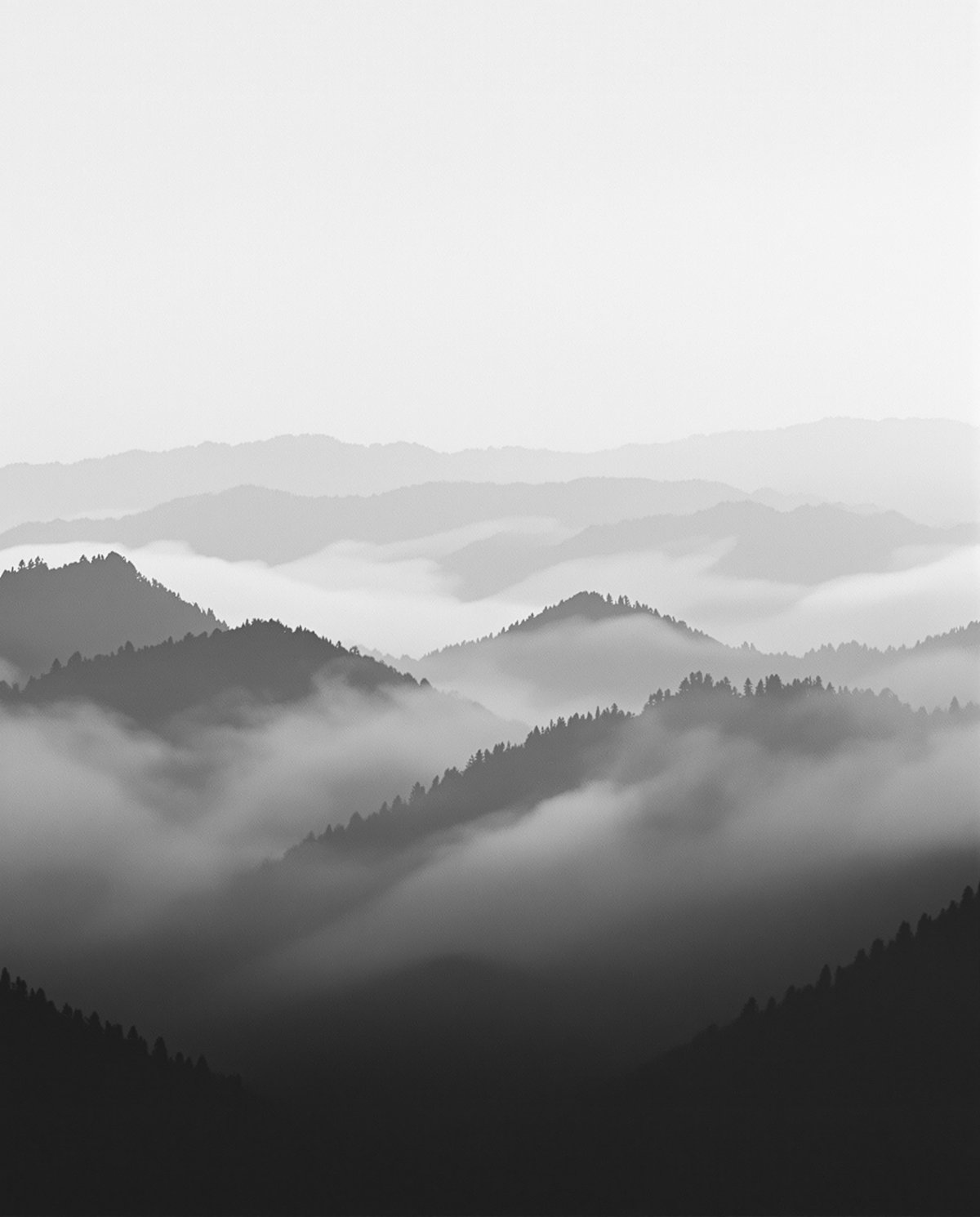 雾中的远山 照片 1